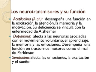 Los neurotransmisores y su funciónAcetilcolina (A ch):  desempeña una función en la excitación, la atención, la memoria y la motivación. Su deficiencia se vincula con la enfermedad de AlzheimerDopamina:  afecta a las neuronas asociadas con el movimiento voluntario, el aprendizaje, la memoria y las emociones. Desempeña  una función en trastornos motores como el mal de ParkinsonSerotonina: afecta las emociones, la excitación y el sueño