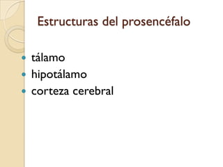 colículosinferiores 