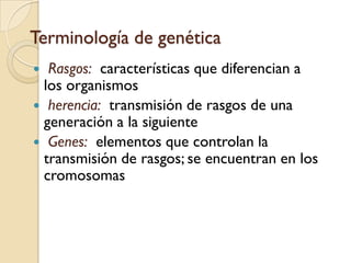 Glándulas suprarrenalesCorteza suprarrenal:  cubierta exterior de las glándulas suprarrenales; libera hormonas importantes para lidiar con el estrésMédula suprarrenal:  parte interna  de las glándulas suprarrenales que también libera hormonas para lidiar con el estrés