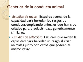 Terminología de genéticaCromosomas:  pares de cuerpos filiformes dentro del núcleo de la célula que contienen los genesÁcidodesoxirribonucleico (DNA):  el ingrediente principal de los cromosomas y genes que forma el código para toda la información genética 