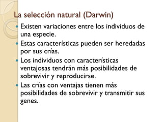 Tipos de gemelosIdénticos:  Gemelos que se desarrollan a partir de un sólo óvulo fertilizado.Fraternos:  Gemelos que se desarrollan a partir de dos óvulos fertilizados.