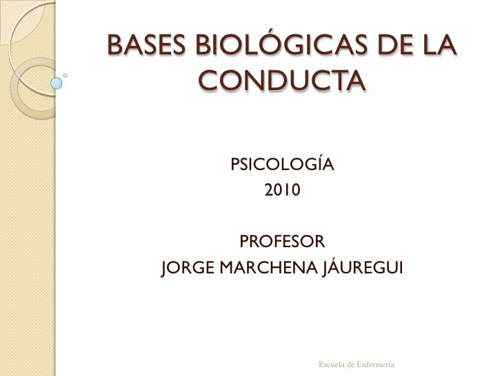 Capitulo Ii Bases Biologicas De La Conducta