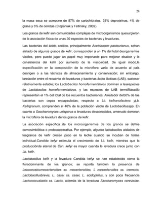28

la masa seca se compone de 57% de carbohidratos, 33% deproteínas, 4% de
grasa y 6% de cenizas (Stepaniak y Fetlinsky, 2002).

Los granos de kefir son comunidades complejas de microorganismos quesurgieron
de la asociación física de unas 30 especies de bacterias y levaduras.

Las bacterias del ácido acético, principalmente Acetobacter pasteurianus, sehan
aislado de algunos granos de kefir; corresponden a un 1% del total deorganismos
viables, pero puede jugar un papel muy importante para mejorar elsabor y la
consistencia del kefir por aumento de la viscosidad. De igual modo,la
especificación en la composición de la microflora varía de acuerdo al país
deorigen o a las técnicas de almacenamiento y conservación; sin embargo,
larelación entre el recuento de levaduras y bacterias ácido lácticas (LAB), sueleser
relativamente estable; los Lactobacilos homofermentativos dominan a lasespecies
de Lactobacilos homofermentativos, y las especies de LAB termófilassólo
representan el 1% del total de los recuentos bacterianos. Alrededor del50% de las
bacterias son cepas encapsuladas; respecto a Lb. kefiranofaciens yLb.
Kefirgranum, comprenden el 40% de la población viable de Lactobacillusspp. En
cuanto a Saccharomyces unisporus o levaduras desconocidas, amenudo dominan
la microflora de levadura de los granos de kefir.

La asociación especifica de los microorganismos de los granos se define
comosimbiótica o protocooperativa. Por ejemplo, algunos lactobacilos aislados de
losgranos de kefir crecen poco en la leche cuando se incuban de forma
individual;Candida kefyr estimula el crecimiento de Lb. kefir, mientras que la
producciónde etanol de Can. kefyr es mayor cuando la levadura crece junto con
Lb. kefir.

Lactobacillus kefir y la levadura Candida kefyr se han establecido como la
floradominante    de   los   granos;   se   reporta    también   la   presencia   de
Leuconostocmesenteroides ss. mesenteroides, L mesenteroides ss. cremoris,
Lactobacillusbrevis, L. casei ss. casei, L. acidophilus, y con poca frecuencia
Lactococcuslactis ss. Lactis, además de la levadura Saccharomyces cerevisiae.
 