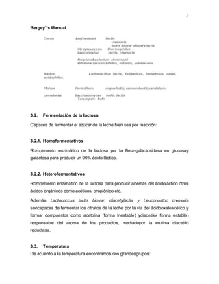 3

Bergey`’s Manual.




3.2.   Fermentación de la lactosa

Capaces de fermentar el azúcar de la leche bien sea por reacción:


3.2.1. Homofermentativos

Rompimiento enzimático de la lactosa por la Beta-galactosidasa en glucosay
galactosa para producir un 90% ácido láctico.


3.2.2. Heterofermentativos

Rompimiento enzimático de la lactosa para producir además del ácidoláctico otros
ácidos orgánicos como acéticos, propiónico etc.

Además Lactococcus lactis biovar. diacetylactis y Leuconostoc cremoris
soncapaces de fermentar los citratos de la leche por la vía del ácidooxaloacético y
formar compuestos como acetoína (forma inestable) ydiacetilo( forma estable)
responsable del aroma de los productos, mediadopor la enzima diacetilo
reductasa.


3.3.   Temperatura
De acuerdo a la temperatura encontramos dos grandesgrupos:
 