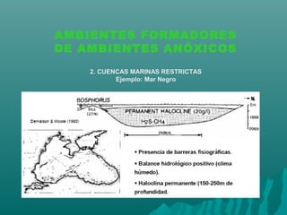 AMBIENTES FORMADORES 
DE AMBIENTES ANÓXICOS 
2. CUENCAS MARINAS RESTRICTAS 
Ejemplo: Mar Negro 
 