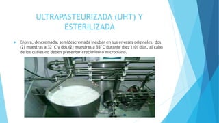 ULTRAPASTEURIZADA (UHT) Y
ESTERILIZADA
 Entera, descremada, semidescremada Incubar en sus envases originales, dos
(2) muestras a 32°C y dos (2) muestras a 55°C durante diez (10) días, al cabo
de los cuales no deben presentar crecimiento microbiano.
 