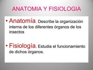 ANATOMIA Y FISIOLOGIA

• Anatomía. Describe la organización
interna de los diferentes órganos de los
insectos

• Fisiología. Estudia el funcionamiento
de dichos órganos.

 