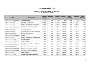 243
COLEGIO NACIONAL "XYZ"
CEDULA PRESUPUESTARIA DE GASTOS
Al 31 de Diciembre del 2005
Reformas CodificadAsignació
Denominación
Devengad Saldo xSaldoComprom.
Partida Inicial Comprom. Devengar
A B C = A + B D E = C - D F G = C - F
6.0072.000.0072.00Comisiones Bancarias 66.006.0066.0011401111I11111111115702030000
12,500.0012,500.000.0012,500.00GASTOS DE PRODUCCION 0.0012,500.000.0011401111I11111111116
12,500.0012,500.000.0012,500.00BIENES Y SERVICIOS DE PRODUCCION 0.0012,500.000.0011401111I111111111163
12,500.0012,500.000.0012,500.00Adquisición de Productos Terminados 0.0012,500.000.0011401111I11111111116312
12,500.0012,500.000.0012,500.00Otros Productos Terminados 0.0012,500.000.0011401111I11111111116312990000
13,180.0013,180.000.0013,180.00GASTOS DE INVERSION 0.0013,180.000.0011401111I11111111117
1,560.001,560.000.001,560.00GASTOS EN PERSONAL PARA INVERSION 0.001,560.000.0011401111I111111111171
1,560.001,560.000.001,560.00Remuneraciones Temporales 0.001,560.000.0011401111I11111111117105
1,560.001,560.000.001,560.00Jornales 0.001,560.000.0011401111I11111111117105030000
7,120.007,120.000.007,120.00BIENES Y SERVICIOS DE CONSUMO PARA 0.007,120.000.0011401111I111111111173
0.00150.000.00150.00Servicios Generales 150.000.00150.0011401111I11111111117302
0.00150.000.00150.00Fletes y Maniobras 150.000.00150.0011401111I11111111117302020000
1,500.001,500.000.001,500.00Contrataciones de Estudios e Investigaciones 0.001,500.000.0011401111I11111111117306
1,500.001,500.000.001,500.00Estudio y Diseño de Proyectos 0.001,500.000.0011401111I11111111117306050000
5,620.005,470.000.005,470.00Bienes de Uso y Consumo de Inversión -150.005,620.00-150.0011401111I11111111117308
5,380.005,230.000.005,230.00Materiales de Construcción, Eléctricos, -150.005,380.00-150.0011401111I11111111117308110000
240.00240.000.00240.00Otros de Uso y Consumo de Inversión 0.00240.000.0011401111I11111111117308990000
4,500.004,500.000.004,500.00OBRAS PUBLICAS 0.004,500.000.0011401111I111111111175
4,500.004,500.000.004,500.00Obras en Líneas, Redes e Instalaciones 0.004,500.000.0011401111I11111111117504
 