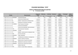 147
COLEGIO NACIONAL "XYZ"
CEDULA PRESUPUESTARIA DE GASTOS
Al 31 de Enero del 2005
Reformas CodificadAsignació
Denominación
Devengad Saldo xSaldoComprom.
Partida Inicial Comprom. Devengar
A B C = A + B D E = C - D F G = C - F
0.0072.000.0072.00Comisiones Bancarias 72.000.0072.0011401111I11111111115702030000
0.0012,500.000.0012,500.00GASTOS DE PRODUCCION 12,500.000.0012,500.0011401111I11111111116
0.0012,500.000.0012,500.00BIENES Y SERVICIOS DE PRODUCCION 12,500.000.0012,500.0011401111I111111111163
0.0012,500.000.0012,500.00Adquisición de Productos Terminados 12,500.000.0012,500.0011401111I11111111116312
0.0012,500.000.0012,500.00Otros Productos Terminados 12,500.000.0012,500.0011401111I11111111116312990000
0.0013,180.000.0013,180.00GASTOS DE INVERSION 13,180.000.0013,180.0011401111I11111111117
0.001,560.000.001,560.00GASTOS EN PERSONAL PARA INVERSION 1,560.000.001,560.0011401111I111111111171
0.001,560.000.001,560.00Remuneraciones Temporales 1,560.000.001,560.0011401111I11111111117105
0.001,560.000.001,560.00Jornales 1,560.000.001,560.0011401111I11111111117105030000
0.007,120.000.007,120.00BIENES Y SERVICIOS DE CONSUMO PARA 7,120.000.007,120.0011401111I111111111173
0.00150.000.00150.00Servicios Generales 150.000.00150.0011401111I11111111117302
0.00150.000.00150.00Fletes y Maniobras 150.000.00150.0011401111I11111111117302020000
0.001,500.000.001,500.00Contrataciones de Estudios e Investigaciones 1,500.000.001,500.0011401111I11111111117306
0.001,500.000.001,500.00Estudio y Diseño de Proyectos 1,500.000.001,500.0011401111I11111111117306050000
0.005,470.000.005,470.00Bienes de Uso y Consumo de Inversión 5,470.000.005,470.0011401111I11111111117308
0.005,230.000.005,230.00Materiales de Construcción, Eléctricos, 5,230.000.005,230.0011401111I11111111117308110000
0.00240.000.00240.00Otros de Uso y Consumo de Inversión 240.000.00240.0011401111I11111111117308990000
0.004,500.000.004,500.00OBRAS PUBLICAS 4,500.000.004,500.0011401111I111111111175
0.004,500.000.004,500.00Obras en Líneas, Redes e Instalaciones 4,500.000.004,500.0011401111I11111111117504
 