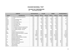 175
COLEGIO NACIONAL "XYZ"
BALANCE DE COMPROBACION
Al 28 de Febrero del 2005
SALDOS INICIALES
CÓDIGO DENOMINACIÓN DÉBITOS CRÉDITOS
SALDOS FINALES
DEUDORDEUDOR ACREEDOR
FLUJOS
DÉBITOS
SUMASCUENTAS
ACREEDORCRÉDITOS
0.00 120.000.00 0.00 0.00 120.000.00C x P Bienes y Servicios de Consumo IR2137302 120.00
1,426.63 2,248.030.00 0.00 0.00 821.401,426.63C x P IVA21381 2,248.03
244.63 244.630.00 0.00 0.00 0.00244.63C x P IVA Proveedores 100%2138101 244.63
72.00 303.000.00 0.00 0.00 231.0072.00C x P IVA Fisco 100%2138102 303.00
1,092.00 1,092.000.00 0.00 0.00 0.001,092.00C x P IVA Proveedor 70% Bs.2138103 1,092.00
18.00 468.000.00 0.00 0.00 450.0018.00C x P IVA Fisco 30% Bs.2138104 468.00
0.00 140.400.00 0.00 0.00 140.400.00C x P IVA Cobrado -100%2138107 140.40
3,800.00 3,800.000.00 0.00 0.00 0.003,800.00C x P Años Anteriores21383 3,800.00
955.50 965.000.00 0.00 0.00 9.50955.50C x P Inversiones en Bienes de Larga Duración21384 965.00
955.50 955.500.00 0.00 0.00 0.00955.50C x P Inv. Bienes L/Duración - Proveedores2138401 955.50
0.00 9.500.00 0.00 0.00 9.500.00C x P Inv. Bienes L/Duración - Fisco IR2138402 9.50
3,800.00 0.000.00 7,500.00 0.00 3,700.003,800.00Financieros224 7,500.00
3,800.00 0.000.00 7,500.00 0.00 3,700.003,800.00Cuentas por Pagar Años Anteriores22483 7,500.00
3,800.00 0.000.00 7,500.00 0.00 3,700.003,800.00Cuentas por Pagar Años Anteriores - Proveedor2248301 7,500.00
4,160.00 11,959.600.00 169,600.0 0.00 177,399.604,160.00Patrimonio Público611 181,559.60
4,160.00 8,459.600.00 169,600.0 0.00 173,899.604,160.00Patrimonio Gobierno Central61101 178,059.60
0.00 3,500.000.00 0.00 0.00 3,500.000.00Donaciones en Bienes Muebles e Inmuebles61199 3,500.00
8,459.60 0.000.00 8,459.60 0.00 0.008,459.60Resultados de Ejercicios618 8,459.60
8,459.60 0.000.00 8,459.60 0.00 0.008,459.60Resultados Ejercicios Anteriores61801 8,459.60
950.00 0.000.00 0.00 950.00 0.00950.00Disminución Patrimonial619 0.00
950.00 0.000.00 0.00 950.00 0.00950.00Disminución Bienes Larga Duración61994 0.00
0.00 45.000.00 0.00 0.00 45.000.00Tasas y Contribuciones623 45.00
0.00 45.000.00 0.00 0.00 45.000.00Tasas Generales62301 45.00
0.00 45.000.00 0.00 0.00 45.000.00Especies Fiscales6230106 45.00
 