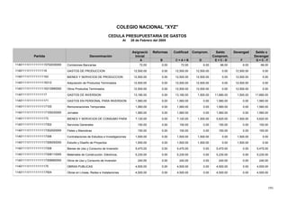 191
COLEGIO NACIONAL "XYZ"
CEDULA PRESUPUESTARIA DE GASTOS
Al 28 de Febrero del 2005
Reformas CodificadAsignació
Denominación
Devengad Saldo xSaldoComprom.
Partida Inicial Comprom. Devengar
A B C = A + B D E = C - D F G = C - F
6.0072.000.0072.00Comisiones Bancarias 66.006.0066.0011401111I11111111115702030000
12,500.0012,500.000.0012,500.00GASTOS DE PRODUCCION 0.0012,500.000.0011401111I11111111116
12,500.0012,500.000.0012,500.00BIENES Y SERVICIOS DE PRODUCCION 0.0012,500.000.0011401111I111111111163
12,500.0012,500.000.0012,500.00Adquisición de Productos Terminados 0.0012,500.000.0011401111I11111111116312
12,500.0012,500.000.0012,500.00Otros Productos Terminados 0.0012,500.000.0011401111I11111111116312990000
1,500.0013,180.000.0013,180.00GASTOS DE INVERSION 11,680.001,500.0011,680.0011401111I11111111117
0.001,560.000.001,560.00GASTOS EN PERSONAL PARA INVERSION 1,560.000.001,560.0011401111I111111111171
0.001,560.000.001,560.00Remuneraciones Temporales 1,560.000.001,560.0011401111I11111111117105
0.001,560.000.001,560.00Jornales 1,560.000.001,560.0011401111I11111111117105030000
1,500.007,120.000.007,120.00BIENES Y SERVICIOS DE CONSUMO PARA 5,620.001,500.005,620.0011401111I111111111173
0.00150.000.00150.00Servicios Generales 150.000.00150.0011401111I11111111117302
0.00150.000.00150.00Fletes y Maniobras 150.000.00150.0011401111I11111111117302020000
1,500.001,500.000.001,500.00Contrataciones de Estudios e Investigaciones 0.001,500.000.0011401111I11111111117306
1,500.001,500.000.001,500.00Estudio y Diseño de Proyectos 0.001,500.000.0011401111I11111111117306050000
0.005,470.000.005,470.00Bienes de Uso y Consumo de Inversión 5,470.000.005,470.0011401111I11111111117308
0.005,230.000.005,230.00Materiales de Construcción, Eléctricos, 5,230.000.005,230.0011401111I11111111117308110000
0.00240.000.00240.00Otros de Uso y Consumo de Inversión 240.000.00240.0011401111I11111111117308990000
0.004,500.000.004,500.00OBRAS PUBLICAS 4,500.000.004,500.0011401111I111111111175
0.004,500.000.004,500.00Obras en Líneas, Redes e Instalaciones 4,500.000.004,500.0011401111I11111111117504
 