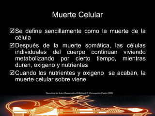 Catalepsia: es una condición en el cual los signos vitales son débiles y existe una rigidez cerosa sobre el cuerpoDerechos de AutorReservados © Richard C. Concepción Castro 2008