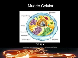 La MuerteTérminos y DefinicionesRestos humanos: es el cuerpo del difunto incluyendo los restos cremadosLa MuerteTérminos y DefinicionesCadáver: es un termino legal utilizado al referirse a un cuerpo humano muertoDerechos de AutorReservados © Richard C. Concepción Castro 2008