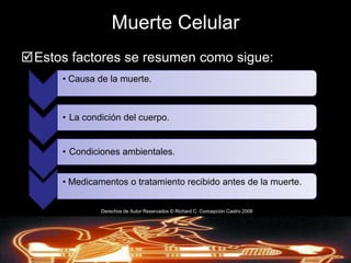 Es un cuerpo humano muerto que se utiliza para investigaciones anatómicas y científicas