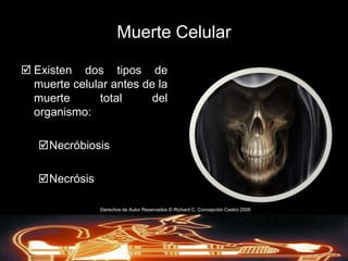 En muchos estados constituye la disposición final de cuerpo al ser llevado a una escuela de medicina o Junta Anatómica