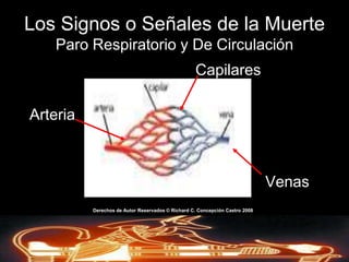 Índice de mortalidad: índice del número de fallecidos dada un área poblacional en un periodo especifico.Derechos de AutorReservados © Richard C. Concepción Castro 2008