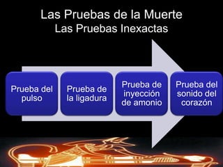    Muerte Celular    CELULADerechos de AutorReservados © Richard C. Concepción Castro 2008