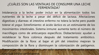 ¿CUÁLES SON LAS VENTAJAS DE CONSUMIR UNA LECHE
FERMENTADA?
Intolerancia a la leche: poder incluir en la alimentación todos los
nutrientes de la leche a pesar del déficit de lactasa. Afectaciones
digestivas y diarreas: el intestino enfermo no tolera la leche pero puede
tolerar el yogur. Estreñimiento: el ácido láctico es un estimulante de los
movimientos intestinales. Sistema inmune: aumenta tanto el número de
macrófagos como de anticuerpos específicos. Disbacteriosis: ayudan a
restablecer la flora colónica después del tratamiento antibiótico.
Modificación de la flora: al bajar el pH del intestino mejoran la
composición de la flora y disminuyen la colonización de patógenos.
Prevención de carcinogénesis: no solo aumenta la respuesta inmune
sino que inhibe carcinógenos.
 