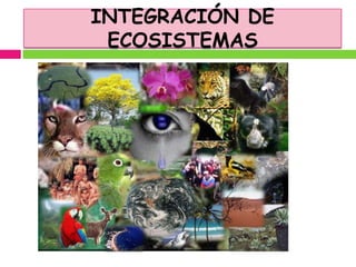 INTEGRACIÓN DE
 ECOSISTEMAS
 