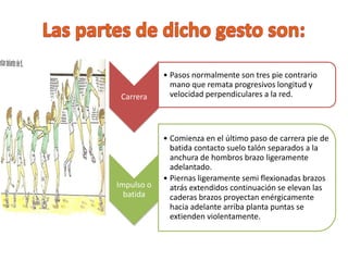 Carrera
• Pasos normalmente son tres pie contrario
mano que remata progresivos longitud y
velocidad perpendiculares a la red.
Impulso o
batida
• Comienza en el último paso de carrera pie de
batida contacto suelo talón separados a la
anchura de hombros brazo ligeramente
adelantado.
• Piernas ligeramente semi flexionadas brazos
atrás extendidos continuación se elevan las
caderas brazos proyectan enérgicamente
hacia adelante arriba planta puntas se
extienden violentamente.
 