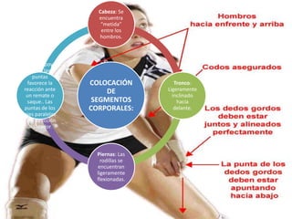 COLOCACIÓN
DE
SEGMENTOS
CORPORALES:
Cabeza: Se
encuentra
“metida”
entre los
hombros.
Tronco:
Ligeramente
inclinado
hacia
delante.
Piernas: Las
rodillas se
encuentran
ligeramente
flexionadas.
Pies: El apoyo
sobre las
puntas
favorece la
reacción ante
un remate o
saque.. Las
puntas de los
pies paralelas
y en dirección
al sacador.
 