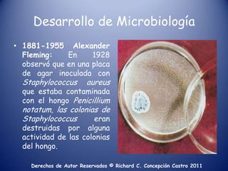 Desarrollo de Microbiología1881-1955 Alexander Fleming: En 1928 observó que en una placa de agar inoculada con Staphylococcusaureusque estaba contaminada con el hongo Penicilliumnotatum, las colonias de Staphylococcuseran destruidas por alguna actividad de las colonias del hongo.