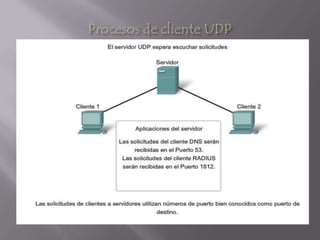 Procesos de cliente UDP
