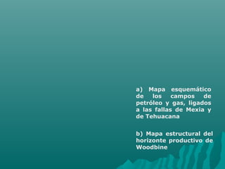 a) Mapa esquemático 
de los campos de 
petróleo y gas, ligados 
a las fallas de Mexia y 
de Tehuacana 
b) Mapa estructural del 
horizonte productivo de 
Woodbine 
 