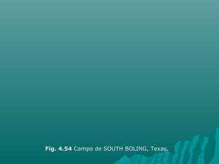 Fig. 4.54 Campo de SOUTH BOLING, Texas. 
 