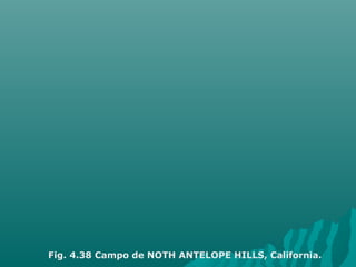 Fig. 4.38 Campo de NOTH ANTELOPE HILLS, California. 
 