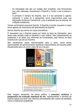 - As tribulações não são um castigo sem propósito, mas ferramentas
que, bem utilizadas, impulsionam o Espírito a "evitar o mal e praticar o
bem".
- A primazia é sempre do Espírito, que é o ser pensante e agente,
utilizando o corpo (e o perispírito) como instrumentos para sua
depuração contínua e irreversível, rumo à perfeição que se alcança em
múltiplas existências.
Vamos caminhando enquanto Espírito. O Espírito é imortal, enquanto o corpo
serve apenas de instrumento de aprendizado do Espírito.
Somos Espírito que temos um corpo (transitório)
É necessário que o Espírito passe por todos os tipos de tribulações, para
serem elas escolas onde se aprende a viver melhor. São indispensáveis os
problemas e as dores nos caminhos da humanidade, pelo menos na faixa
evolutiva em que ela se encontra.
São necessárias várias reencarnações para a alma, como sendo
oportunidades de aprimoramento espiritual e educandários de elevado poder
disciplinando para um porvir cheio de luz e de paz.
Esta imagem apresenta, de forma gráfica, o processo contínuo e
progressivo da evolução espiritual do ser, representando o caminho do
Espírito desde sua fase mais instintiva (animalidade) até o ápice da perfeição
moral e intelectual (angelitude).
116
 