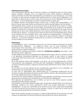 Metamorfosis de los Insectos | PDF