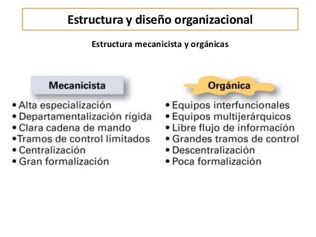 Estructura y diseño organizacional