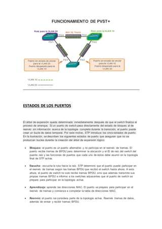 FUNCIONAMIENTO DE PVST+
ESTADOS DE LOS PUERTOS
El árbol de expansión queda determinado inmediatamente después de que el switch finaliza el
proceso de arranque. Si un puerto de switch pasa directamente del estado de bloqueo al de
reenvío sin información acerca de la topología completa durante la transición, el puerto puede
crear un bucle de datos temporal. Por este motivo, STP introduce los cinco estados de puerto.
En la ilustración, se describen los siguientes estados de puerto que aseguran que no se
produzcan bucles durante la creación del árbol de expansión lógico:
 Bloqueo: el puerto es un puerto alternativo y no participa en el reenvío de tramas. El
puerto recibe tramas de BPDU para determinar la ubicación y el ID de raíz del switch del
puente raíz y las funciones de puertos que cada uno de éstos debe asumir en la topología
final de STP activa.
 Escucha: escucha la ruta hacia la raíz. STP determinó que el puerto puede participar en
el reenvío de tramas según las tramas BPDU que recibió el switch hasta ahora. A esta
altura, el puerto de switch no solo recibe tramas BPDU, sino que además transmite sus
propias tramas BPDU e informa a los switches adyacentes que el puerto de switch se
prepara para participar en la topología activa.
 Aprendizaje: aprende las direcciones MAC. El puerto se prepara para participar en el
reenvío de tramas y comienza a completar la tabla de direcciones MAC.
 Reenvío: el puerto se considera parte de la topología activa. Reenvía tramas de datos,
además de enviar y recibir tramas BPDU.
 