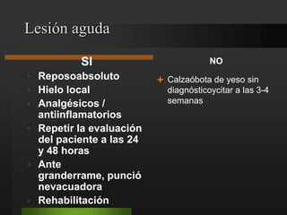 Cuerpos libres articulares.