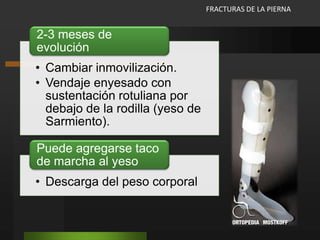 RehabilitaciónNOCalzaóbota de yeso sin diagnósticoycitar a las 3-4 semanasLesióncrónicameniscalResecciónparcial del menisco (segmentodesgarrado)Reinserción de menisco (en caso de desinserción capsular)