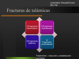 Otro procedimiento: Hackethal Introducir un haz de clavos delgados (2.5 mm de calibre) dentro del conducto medular.