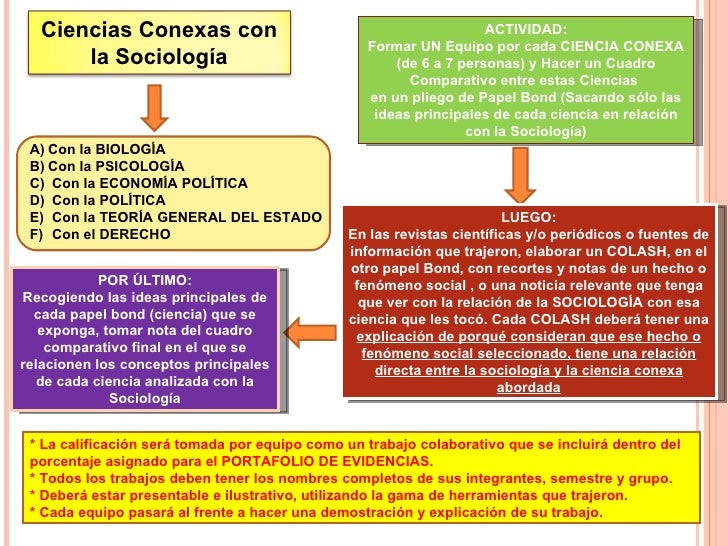 Relacion De La Sociologia Con Las Organizaciones Gufa Relacion De La Sociologia Con Las Organizaciones Gufa