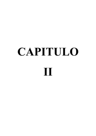 CAPITULO
   II
 