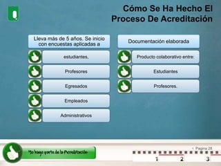 Cómo Se Ha Hecho El Proceso De Acreditación