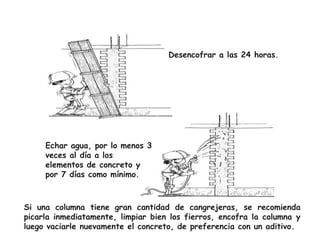 Desencofrar a las 24 horas.

Echar agua, por lo menos 3
veces al día a los
elementos de concreto y
por 7 días como mínimo.

Si una columna tiene gran cantidad de cangrejeras, se recomienda
picarla inmediatamente, limpiar bien los fierros, encofra la columna y
luego vaciarle nuevamente el concreto, de preferencia con un aditivo.

 