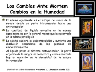 Los Cambios Ante Mortem Cambios en la HumedadEl edema agonizante es el escape de suero de la sangre desde un punto intravascular hacia uno extravascularLa cantidad de liquido envuelta en la edema agonizante es por lo general menos que la observada en la edema patológicaLa edema acelera la descomposición y aumenta una disolución secundaria de los químicos de embalsamamientoAl liquido pasar al sistema extravascular, la parte orgánica de la sangre se concentra y como resultado hay un aumento en la viscosidad de la sangre intravascular