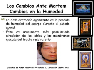 Los Cambios Ante Mortem Cambios en la HumedadLa deshidratación agonizante es la perdida de humedad del cuerpo durante el estado agonalÉste es usualmente más pronunciado alrededor de los labios y las membranas mocosa del tracto respiratorio