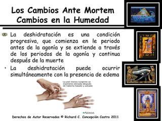 Los Cambios Ante Mortem Cambios en la HumedadLa deshidratación es una condición progresiva, que comienza en le periodo antes de la agonía y se extiende a través de los periodos de la agonía y continua después de la muerteLa deshidratación puede ocurrir simultáneamente con la presencia de edema