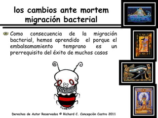 ReferenciasFredderick, L. & Strub, C. (1989). ThePrinciples and 	Practice of Embalming. 5ta. Edición. Texas: 	Professional Training SchoolIserson, K. (1994). DeathtoDust. 1ra. Edición. 	Arizona: GalenPress, LTDMayer, R. (2006). EmbalmingHistory, Theory, and 	Practice. 4ta. Edición. New York: McGraw Hill 	Medical Publishing DivisionMullins, D. (2006). Pathology and MicrobiologyforMortuaryScience. 1ra. Edición. New York: 	Thomson