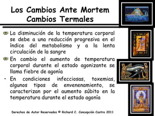Los Cambios Ante MortemCambiosTermalesLa disminución de la temperatura corporal se debe a una reducción progresiva en el índice del metabolismo y a la lenta circulación de la sangreEn cambio el aumento de temperatura corporal durante el estado agonizante se llama fiebre de agoníaEn condiciones infecciosas, toxemias, algunos tipos de envenenamiento, se caracterizan por el aumento súbito en la temperatura durante el estado agonía