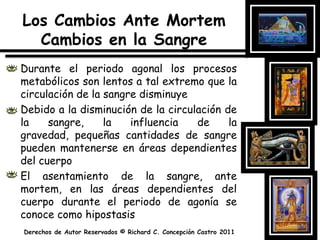 Los Cambios Ante Mortem Cambios en la SangreDurante el periodo agonal los procesos metabólicos son lentos a tal extremo que la circulación de la sangre disminuyeDebido a la disminución de la circulación de la sangre, la influencia de la gravedad, pequeñas cantidades de sangre pueden mantenerse en áreas dependientes del cuerpoEl asentamiento de la sangre, ante mortem, en las áreas dependientes del cuerpo durante el periodo de agonía se conoce como hipostasis