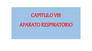 CAPITULO VIII
APARATO RESPIRATORIO
 