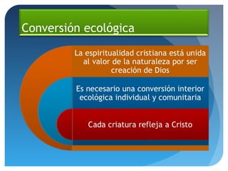 Conversión ecológica
 