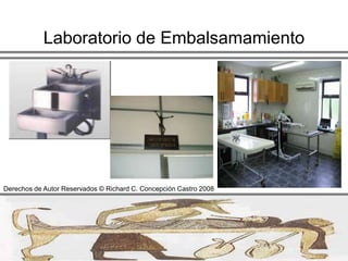  Tener acceso independiente para cargar y descargar cuerpos